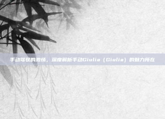手动驾驭的激情，深度解析手动Giulia（Giulia）的魅力所在