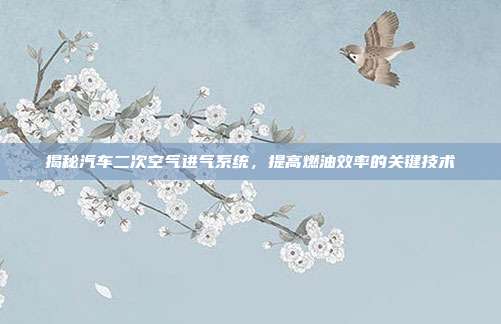 揭秘汽车二次空气进气系统，提高燃油效率的关键技术
