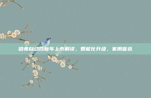 哈弗自动挡新车上市解读，智能化升级，家用首选