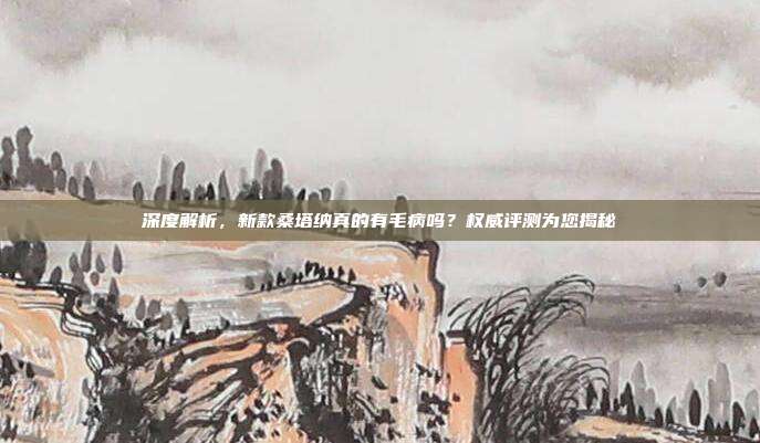 深度解析，新款桑塔纳真的有毛病吗？权威评测为您揭秘