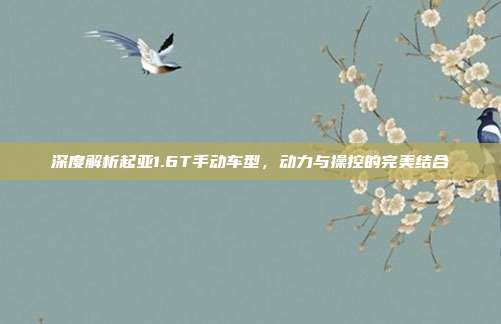 深度解析起亚1.6T手动车型，动力与操控的完美结合