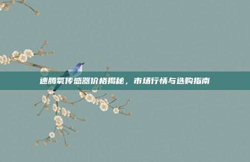 速腾氧传感器价格揭秘，市场行情与选购指南