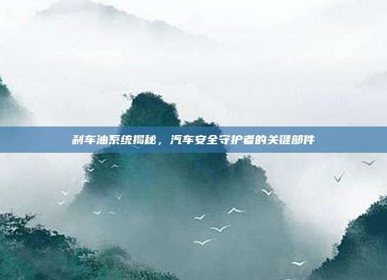 刹车油系统揭秘，汽车安全守护者的关键部件