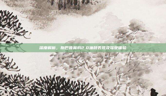 深度解析，斯巴鲁翼豹2.0油耗表现及驾驶体验