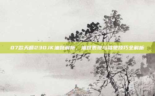 07款天籁230JK油耗解析，油耗表现与驾驶技巧全解析