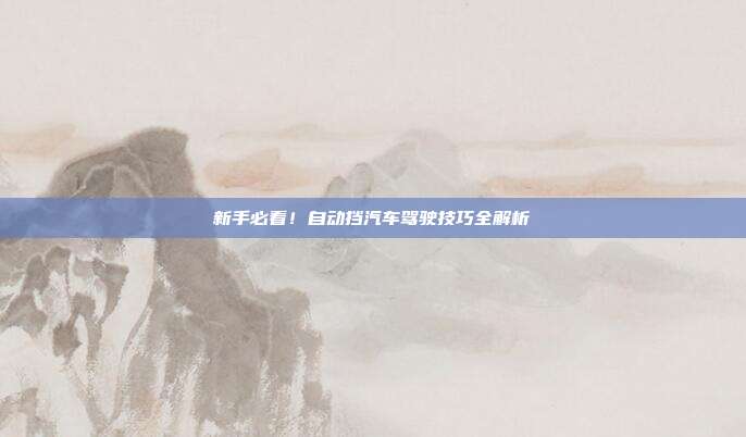 新手必看！自动挡汽车驾驶技巧全解析