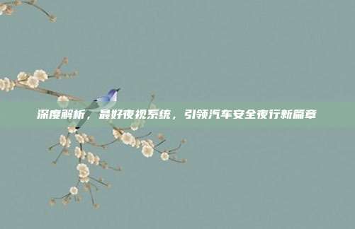 深度解析，最好夜视系统，引领汽车安全夜行新篇章