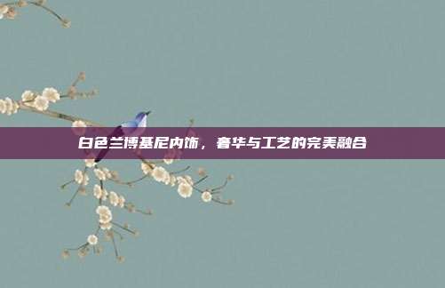 白色兰博基尼内饰，奢华与工艺的完美融合