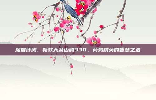 深度评测，新款大众迈腾330，商务精英的智慧之选