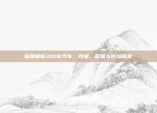 深度解析310W汽车，性能、配置与市场前景