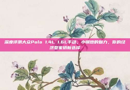 深度评测大众Polo 1.4L 1.6L手动，小钢炮的魅力，你的经济型家轿新选择