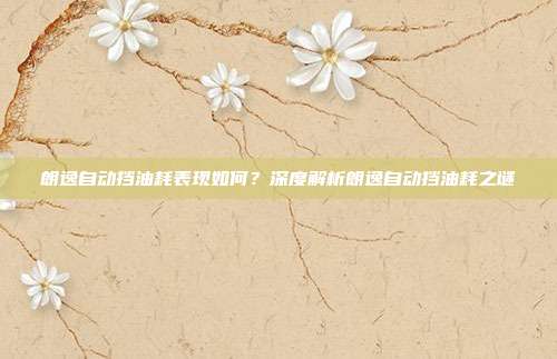 朗逸自动挡油耗表现如何？深度解析朗逸自动挡油耗之谜