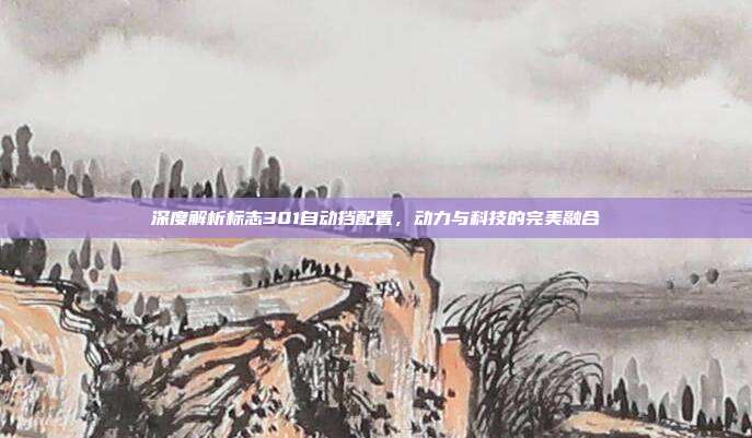 深度解析标志301自动挡配置，动力与科技的完美融合