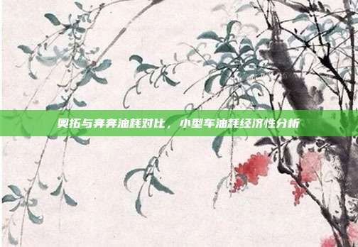 奥拓与奔奔油耗对比，小型车油耗经济性分析