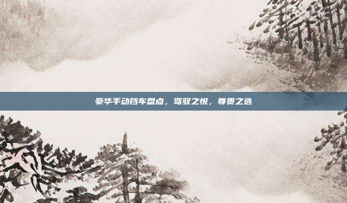 豪华手动挡车盘点，驾驭之悦，尊贵之选