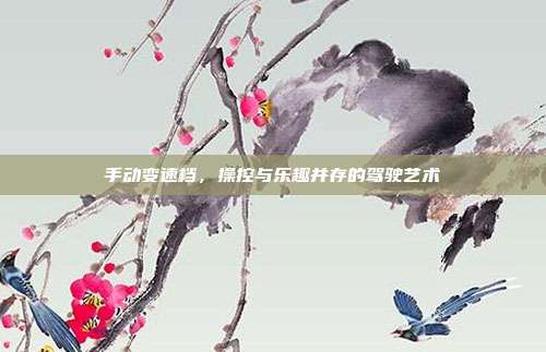 手动变速档，操控与乐趣并存的驾驶艺术
