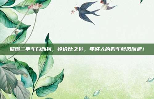 熊猫二手车自动挡，性价比之选，年轻人的购车新风向标！