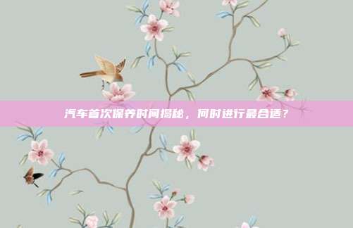 汽车首次保养时间揭秘，何时进行最合适？
