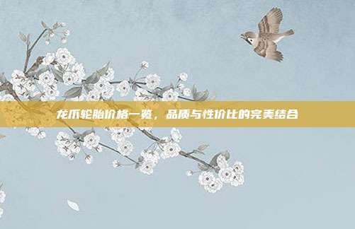 龙爪轮胎价格一览，品质与性价比的完美结合