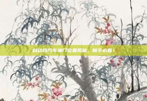自动挡汽车油门位置揭秘，新手必看！