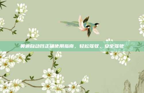奥迪自动挡正确使用指南，轻松驾驭，安全驾驶