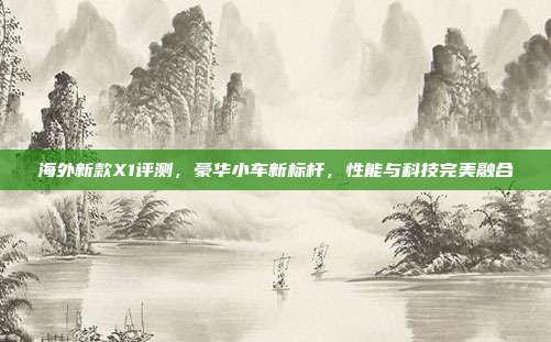 海外新款X1评测，豪华小车新标杆，性能与科技完美融合