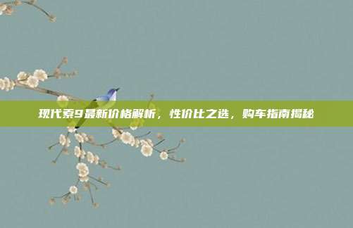 现代索9最新价格解析，性价比之选，购车指南揭秘