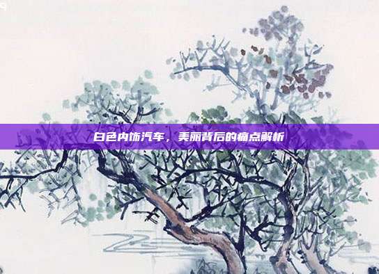 白色内饰汽车，美丽背后的痛点解析