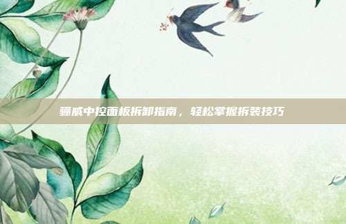 骊威中控面板拆卸指南，轻松掌握拆装技巧