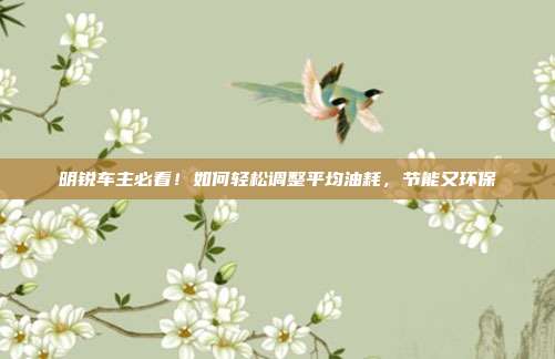 明锐车主必看！如何轻松调整平均油耗，节能又环保