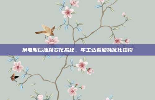 换电瓶后油耗变化揭秘，车主必看油耗优化指南