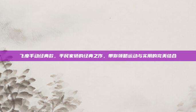 飞度手动经典款，平民家轿的经典之作，带你领略运动与实用的完美结合