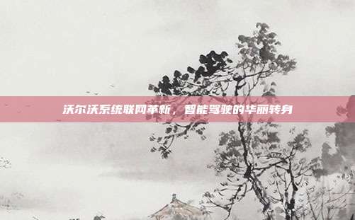 沃尔沃系统联网革新，智能驾驶的华丽转身
