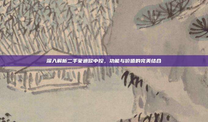 深入解析二手蒙迪欧中控，功能与价值的完美结合