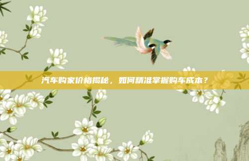 汽车购家价格揭秘，如何精准掌握购车成本？