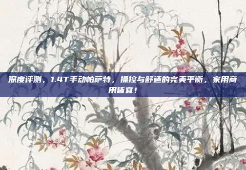 深度评测，1.4T手动帕萨特，操控与舒适的完美平衡，家用商用皆宜！