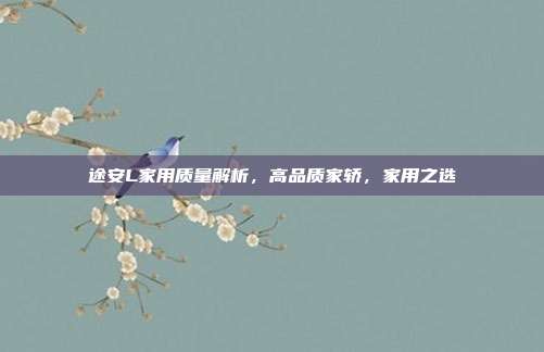 途安L家用质量解析，高品质家轿，家用之选