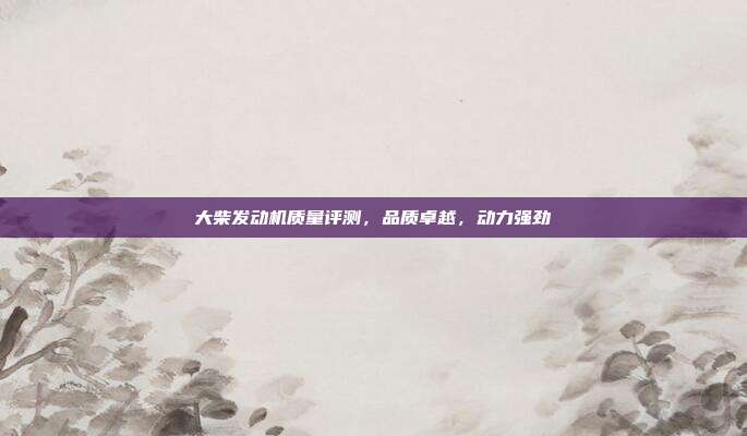 大柴发动机质量评测，品质卓越，动力强劲