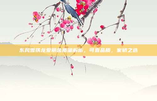 东风雪铁龙爱丽舍质量解析，可靠品质，家轿之选
