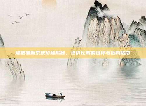 坡道辅助系统价格揭秘，性价比高的选择与选购指南