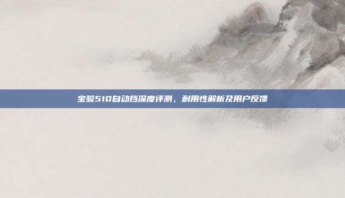 宝骏510自动挡深度评测，耐用性解析及用户反馈