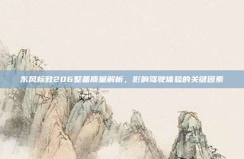 东风标致206整备质量解析，影响驾驶体验的关键因素