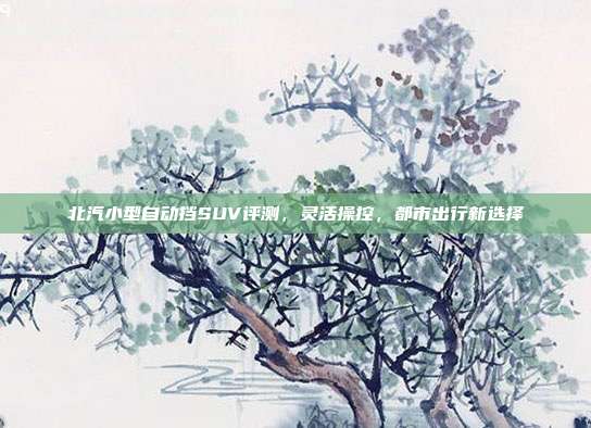 北汽小型自动挡SUV评测，灵活操控，都市出行新选择