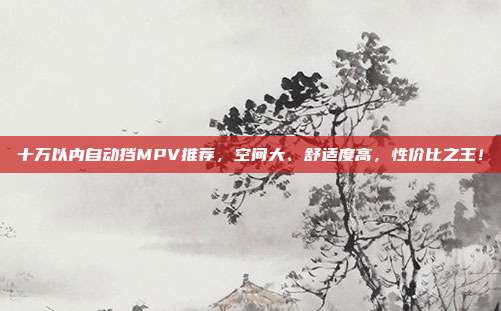 十万以内自动挡MPV推荐，空间大、舒适度高，性价比之王！