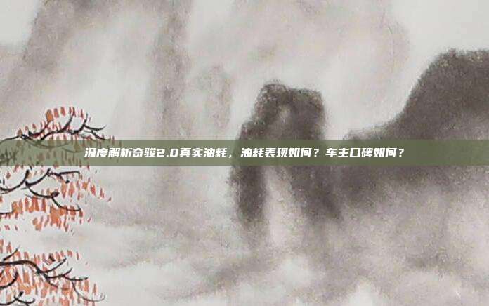 深度解析奇骏2.0真实油耗，油耗表现如何？车主口碑如何？