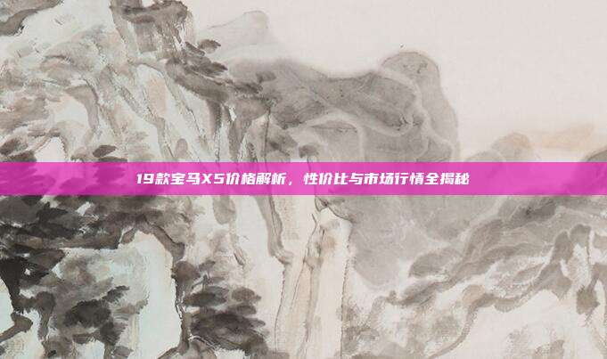 19款宝马X5价格解析，性价比与市场行情全揭秘