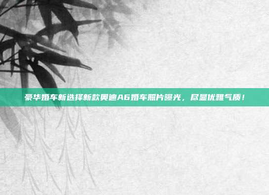 豪华婚车新选择新款奥迪A6婚车照片曝光，尽显优雅气质！