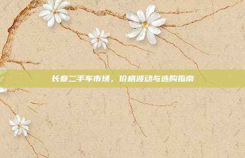 长春二手车市场，价格波动与选购指南