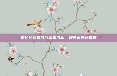 揭秘油耗最低的微型汽车，绿色出行新选择