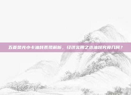五菱荣光小卡油耗表现解析，经济实用之选油耗究竟几何？